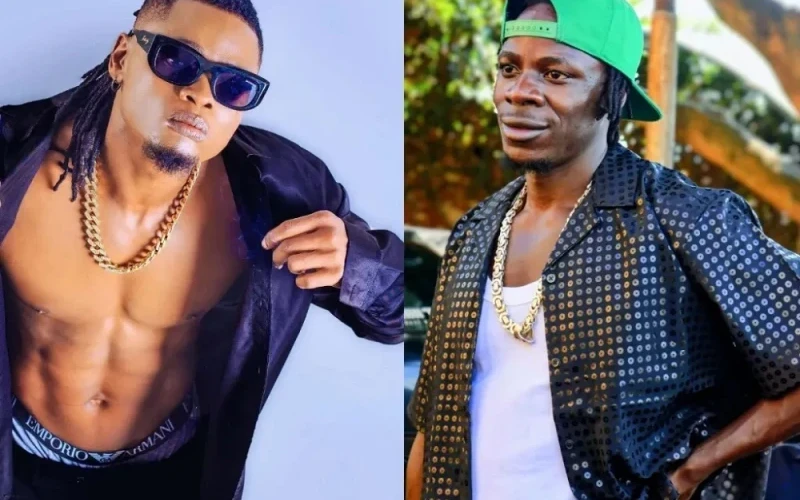 Pallaso: Alien Skin ni umuswa udafite icyo akora